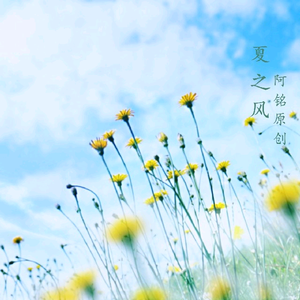畑山夏树生孩子

