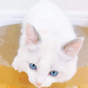 畑山夏树生孩子
