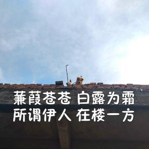 畑山夏树生孩子
